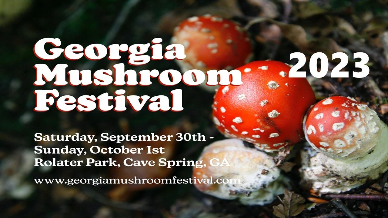 Mushroom Festival Mushrooms, Festival, Mushrooms